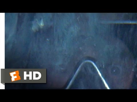 Jaws (1975) - Hooper in the Cage Scene (8/10) | Movieclips