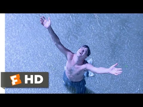 The Shawshank Redemption (1994) - Andy Escapes Scene (7/10) | Movieclips