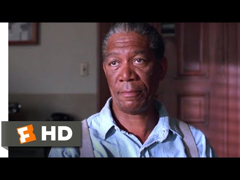 The Shawshank Redemption (1994) - Red&#039;s Parole Hearing Scene (9/10) | Movieclips