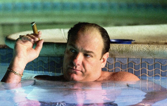 Tony Soprano Character Bio